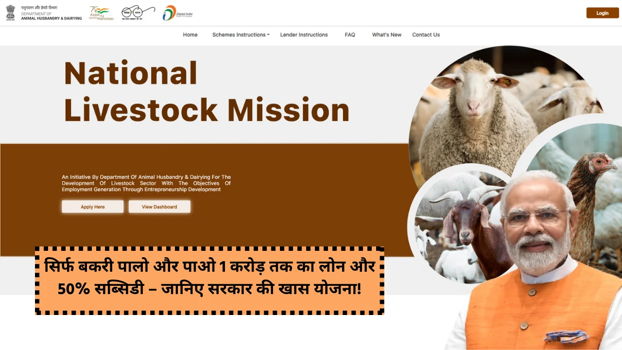Sarkari Yojana: Just raise goats and get a loan of up to Rs 1 crore and 50% subsidy - know about the special scheme of the government apply online now