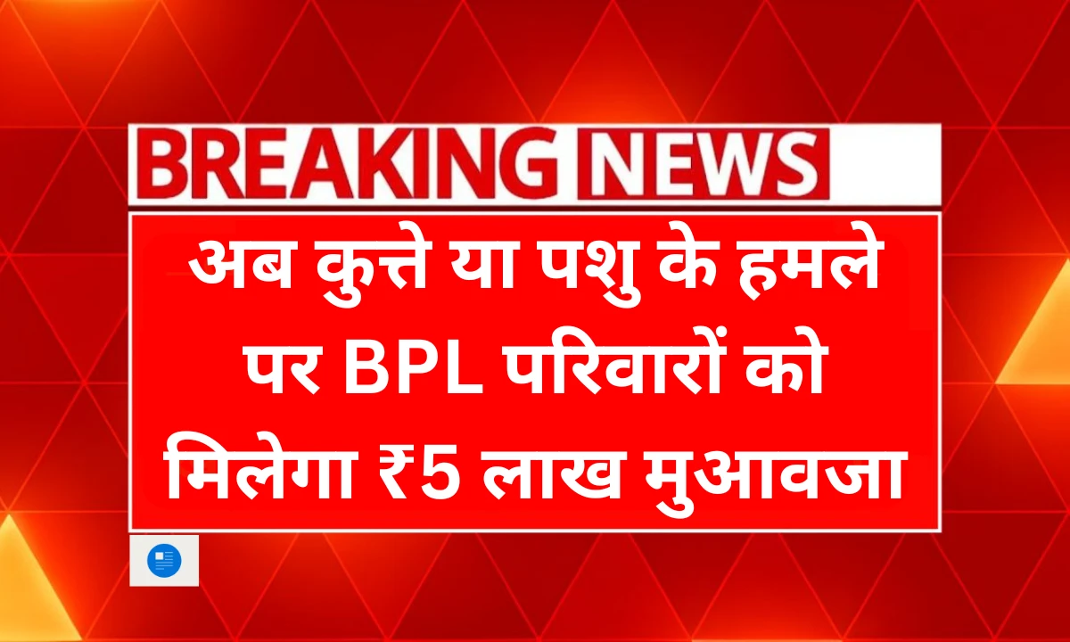 dayalu scheme 2 haryana